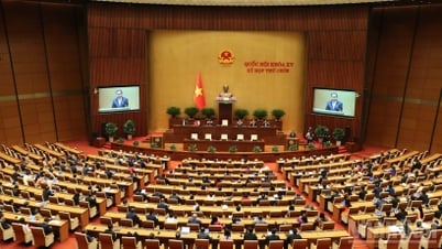 Des décisions historiques, ouvrant des directions stratégiques pour le développement national
