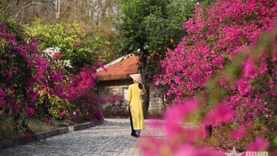 Nachhaltige Tourismusziele im Jahr 2025 in Vietnam