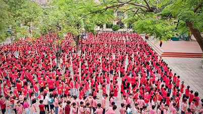Thành phố Lào Cai thành lập 2 trường tiểu học
