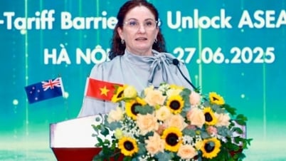 سفير نيوزيلندا: لا يزال هناك الكثير من العمل الذي يتعين القيام به لإزالة الحواجز غير الجمركية