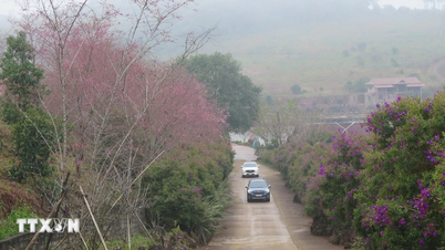 Chance für den Tourismus in Kon Tum nach der Fusion mit Quang Ngai