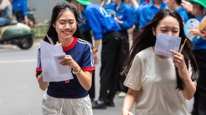Вопросы и предлагаемые ответы для выпускного экзамена по информатике в средней школе 2025 года