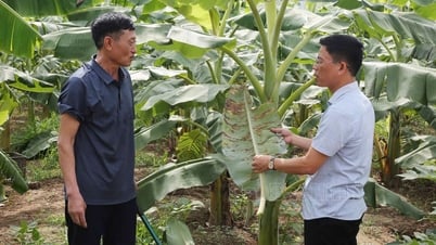 การฟื้นฟูการผลิตทางการเกษตร – ขับเคลื่อนด้วยนโยบาย สร้างแรงบันดาลใจจากชุมชน