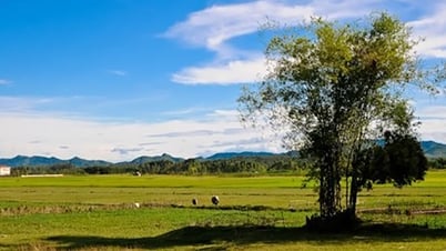 មាតុភូមិជាទីគោរព
