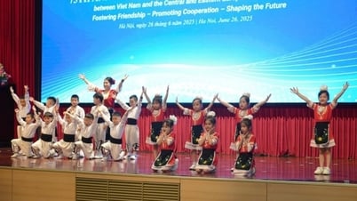 Hội thảo 75 năm quan hệ Việt Nam-Trung Đông Âu: nhiều sáng kiến, đề xuất thiết thực nhằm mở rộng hợp tác