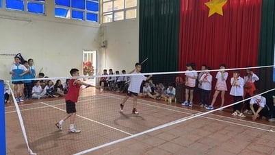 Ben Tre: The Law on Physical Training and Sports was effectively implemented, attracting a large number of people to participate and respond.