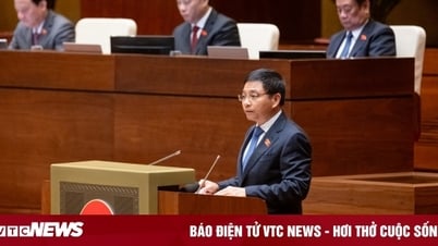 ホーチミン市とダナンに位置する正式に設立された国際金融センター