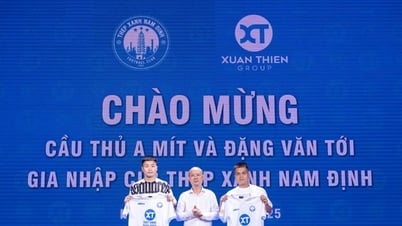 Thép xanh Nam Định chiêu mộ 2 tân binh chuẩn bị cho trận chung kết Cúp Quốc gia