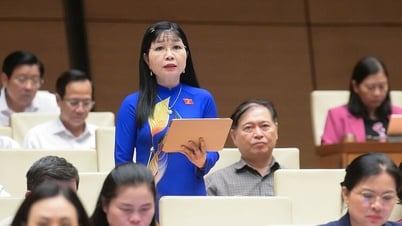 Избиратели Анзянга отправляют петиции