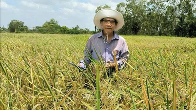 เกษียณเร็ว กลับสู่ทุ่งนาเพื่อผลิตข้าวที่ดีที่สุดในโลก