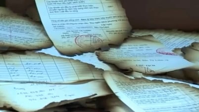 В бумагах, сожженных возле штаб-квартиры Народного комитета округа Ко Нхуэ 2, не было никаких конфиденциальных документов.