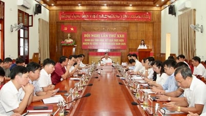 Hội nghị lần thứ 22 Ban Chấp hành Đảng bộ huyện Kiến Thụy: Tổng kết chặng đường phát triển, chuyển sang mô hình chính quyền hai cấp