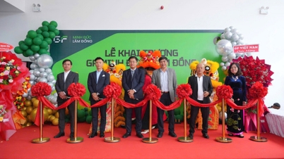 TP Đà Lạt: Ra mắt mô hình ô tô điện 3S đầu tiên