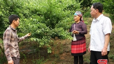 Phát triển kinh tế vùng khó khăn
