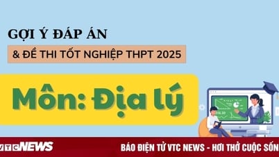Ответы на экзамен по географии для выпускников средней школы 2025 года, все коды экзаменов