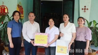 Thăm hỏi, tặng quà Mẹ Việt Nam Anh hùng Nguyễn Thị Anh