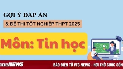إجابات امتحان الثانوية العامة لتكنولوجيا المعلومات 2025، جميع أكواد الامتحان