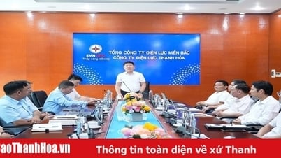 Компания Thanh Hoa Electricity Company проводит углубленное обучение по технике безопасности и эксплуатации в соответствии с новой моделью