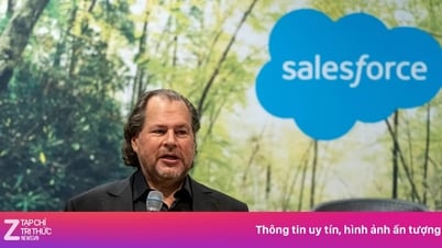 AI thay thế gần nửa công ty