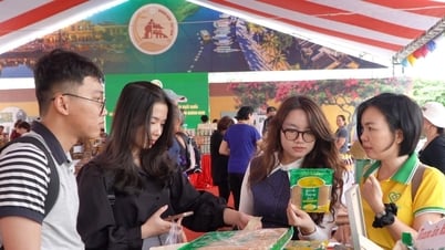Открывая новые горизонты для продукции компании Quang Nam