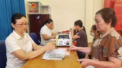 Niveau de soutien pour les participants à l'assurance sociale volontaire