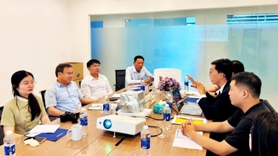 Quảng Trị chấp thuận dự án Nhà máy sản xuất vật liệu thạch anh siêu tinh khiết
