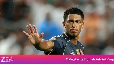 Real Madrid đang thay đổi từ gốc rễ