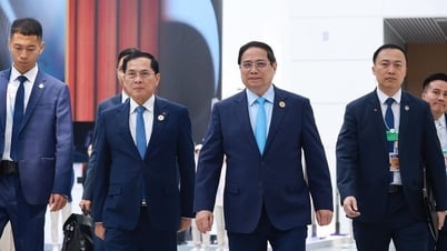 밝은 미래를 건설하기 위한 기회 형성