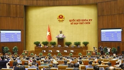 제9회 제15대 국회, 중요결의안 6건 통과
