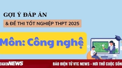 2025년 고등학교 졸업 기술 시험 답안, 모든 시험 코드