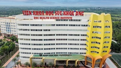 Can Tho University: A suitable destination for young people
