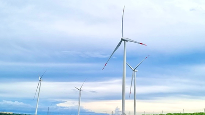 منح ترخيص بيئي لشركة HBRE Gia Lai Wind Power المساهمة