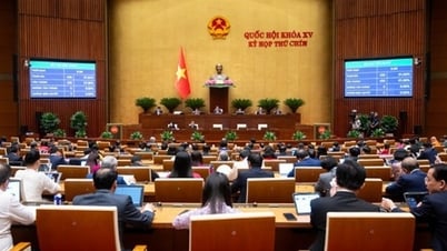 Luật Khoa học, Công nghệ và Đổi mới sáng tạo - Mở rộng cánh cửa thể chế cho doanh nghiệp và nhà khoa học