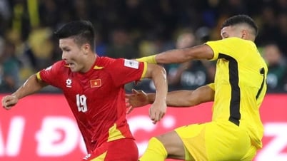 La selección vietnamita será más fuerte si sabe naturalizar 'lo suficiente'