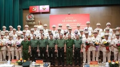 Implementing the Decision of the Minister of Public Security on the organization and staff of provincial and municipal police