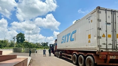 Hải quan đồng hành, góp phần giúp xuất khẩu nông sản bứt tốc