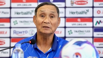 គ្រូ​បង្វឹក Mai Duc Chung៖ កីឡាករ​វៀតណាម​ក្រៅ​ប្រទេស Nam Mi មិន​មាន​លក្ខណៈ​សម្បត្តិ​គ្រប់គ្រាន់