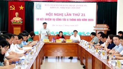 Hai An District has completed all tasks in the first 6 months of the year, ready to switch to a 2-level government model.