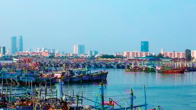 Đà Nẵng tích cực hỗ trợ ngư dân, hướng đến khai thác nghề cá bền vững