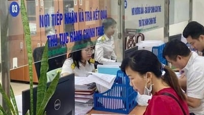 Chi cục Thuế Khu vực I: