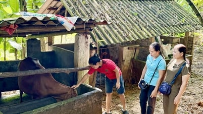 Hoa Binh reçoit 10 projets d'aide internationale d'une valeur de 2,5 millions USD