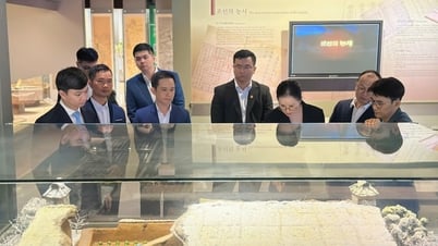 Đắk Lắk có 1 đại biểu tham gia Chương trình giao lưu thanh niên Việt Nam – Hàn Quốc năm 2025