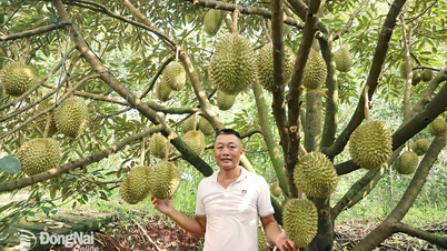 Nông nghiệp Đồng Nai trong hành trình chuyển đổi số (Bài 1)