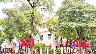 Các phường Hai Bà Trưng, Bạch Mai, Vĩnh Tuy sẵn sàng vận hành chính quyền địa phương hai cấp