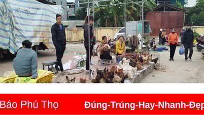 Giá cả thị trường ngày 28/6/2025