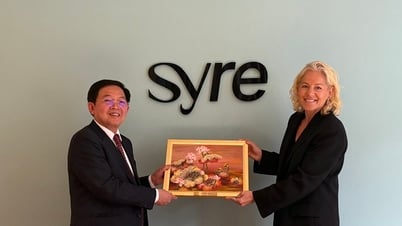 Binh Dinh accelerates capital attraction, paving the way for historic merger