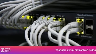 ベトナムで最も高速なインターネットを持つネットワークはどれですか?