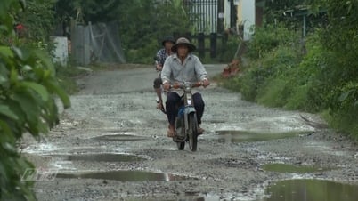 高速道路投資家が公共サービス道路の復旧を約束