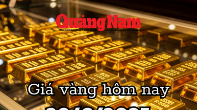 Gold price today June 28, 2025: 24K, 9999 gold breaks bottom, inflation pushes prices into the abyss