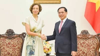 Phó Thủ tướng, Bộ trưởng Ngoại giao Bùi Thanh Sơn tiếp Tổng Giám đốc UNESCO Audrey Azoulay
